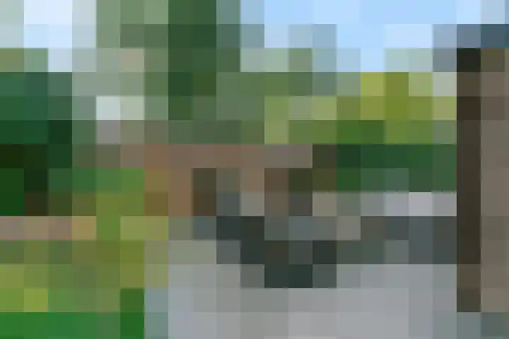 Vossebes 6 Leiden thumbnail 41