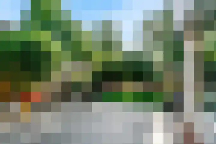 Vossebes 6 Leiden thumbnail 42
