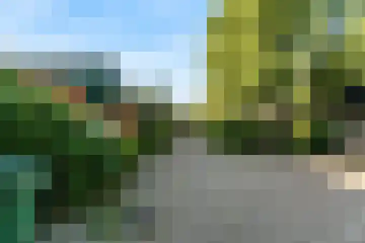 Vossebes 6 Leiden thumbnail 44