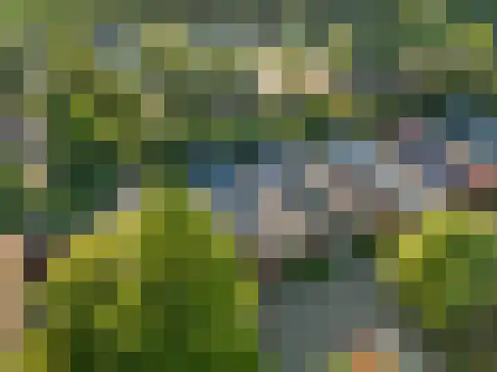 Vossebes 6 Leiden thumbnail 48
