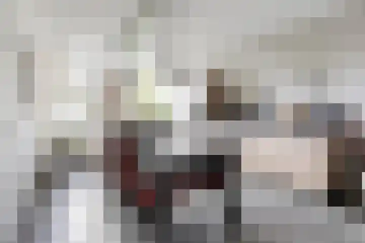 Vossebulten 22 Haren Gn thumbnail 12