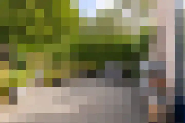Vossebulten 22 Haren Gn thumbnail 30