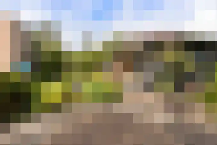 Vossebulten 22 Haren Gn thumbnail 31