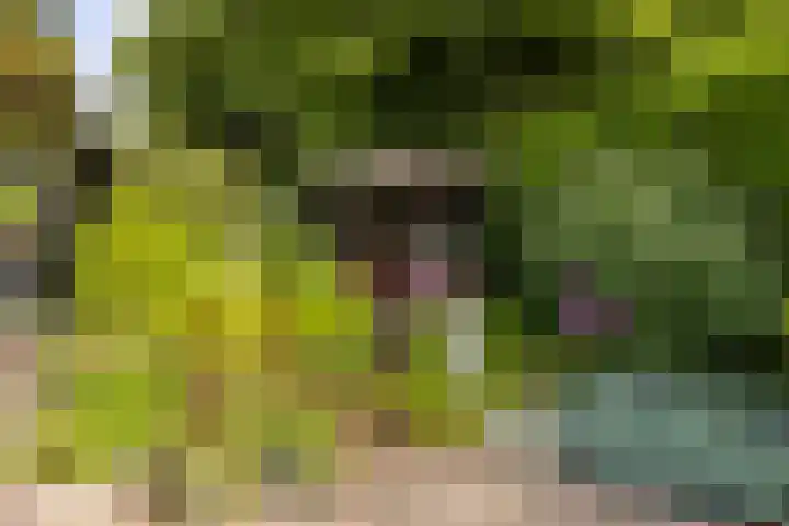 Vossebulten 22 Haren Gn thumbnail 32