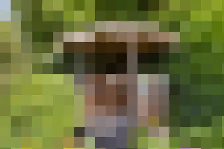 Vossebulten 22 Haren Gn thumbnail 33