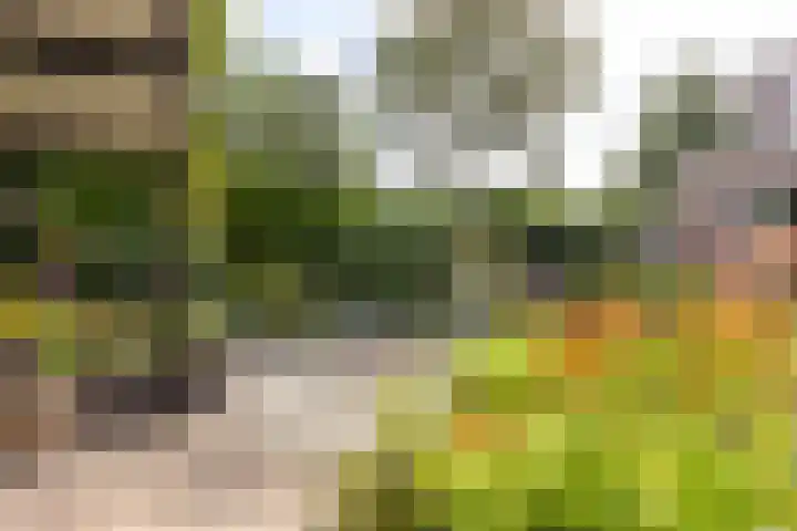 Vossebulten 22 Haren Gn thumbnail 34