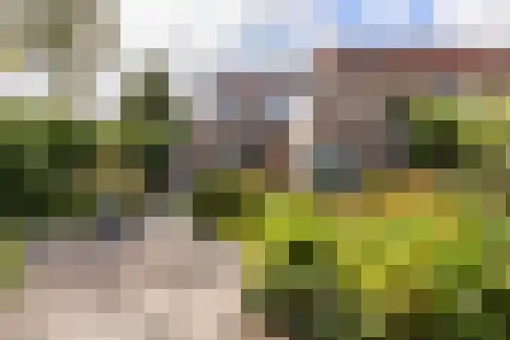 Vossebulten 22 Haren Gn thumbnail 35