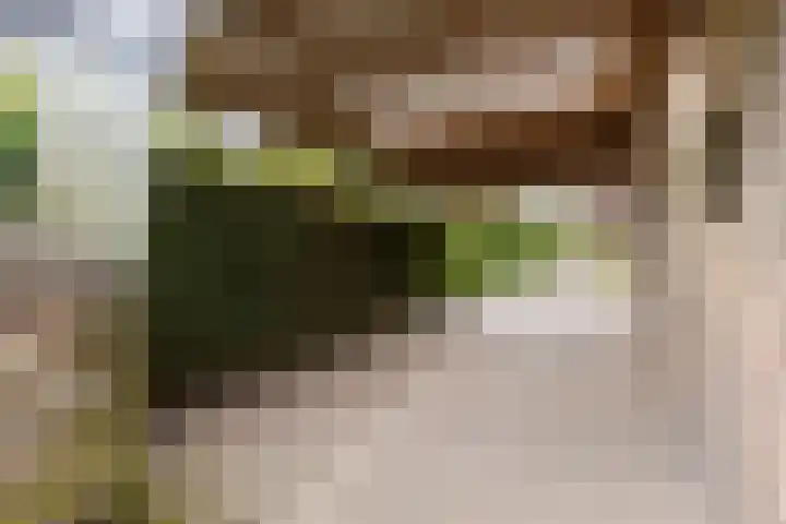 Vossebulten 22 Haren Gn thumbnail 36