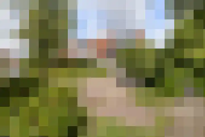 Vossebulten 22 Haren Gn thumbnail 38