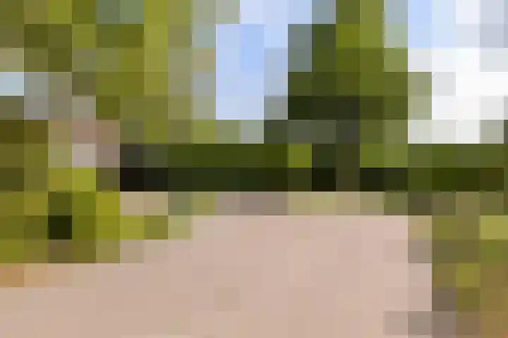 Vossebulten 22 Haren Gn thumbnail 39