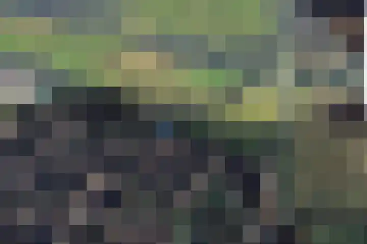 Vossebulten 22 Haren Gn thumbnail 40