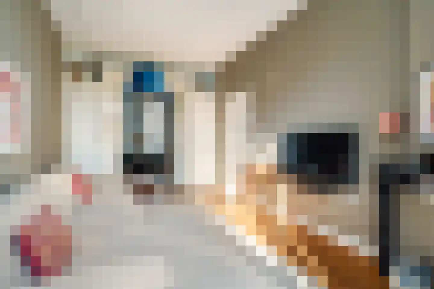 Vossegatselaan 11 BS Utrecht thumbnail 10