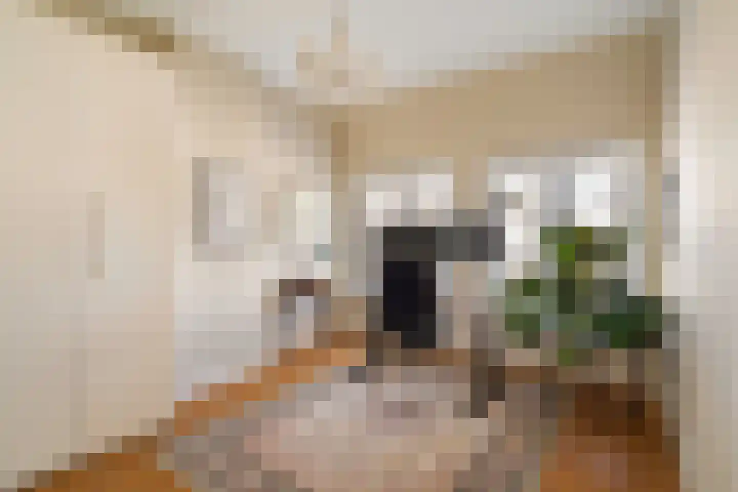 Vossegatselaan 11 BS Utrecht thumbnail 29
