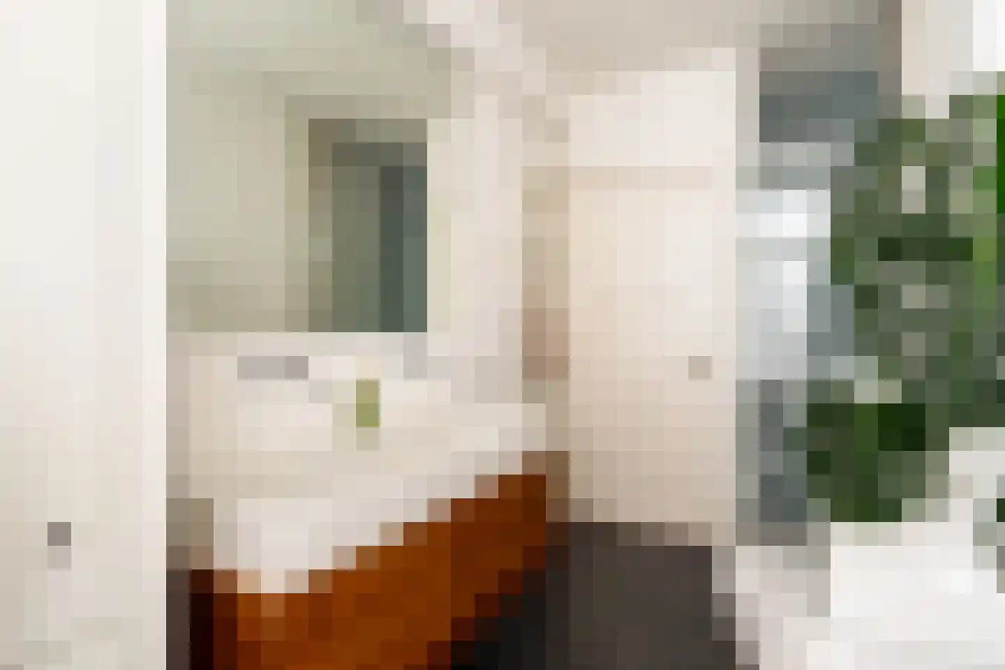 Vossegatselaan 11 BS Utrecht thumbnail 32