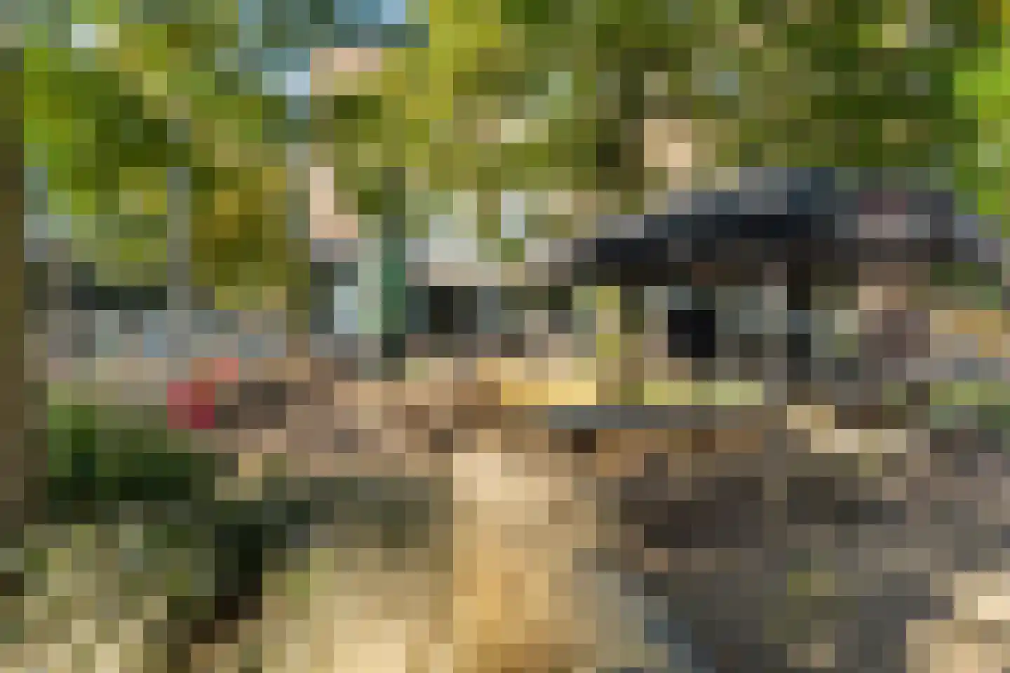 Vossegatselaan 11 BS Utrecht thumbnail 43