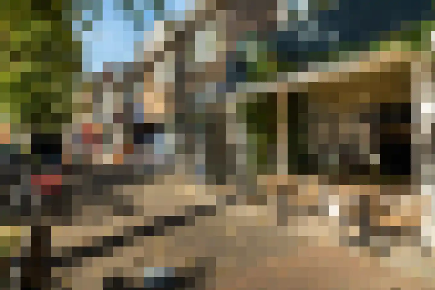 Vossegatselaan 11 BS Utrecht thumbnail 44