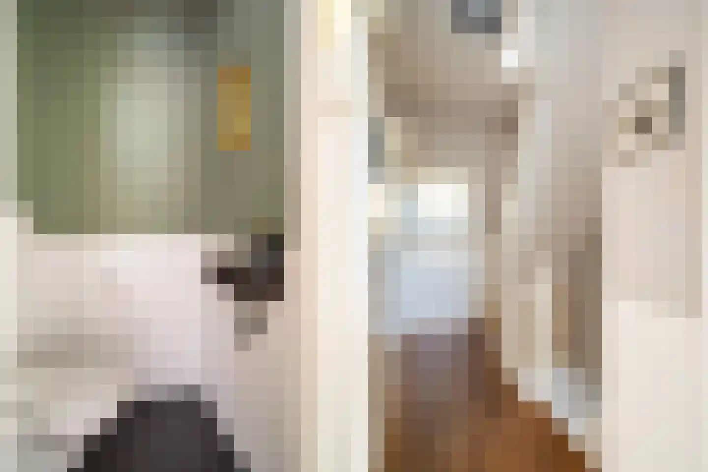 Vossegatselaan 11 BS Utrecht thumbnail 6