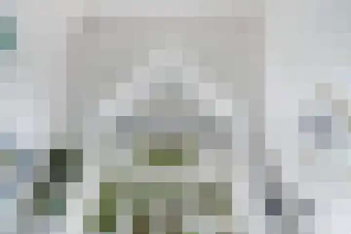 Vossegatselaan 19 BS Utrecht thumbnail 26