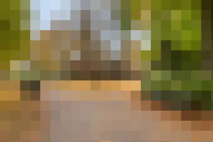 Vossegatselaan 19 BS Utrecht thumbnail 42