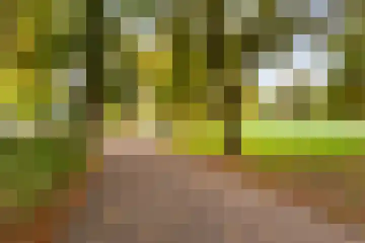 Vossegatselaan 19 BS Utrecht thumbnail 43