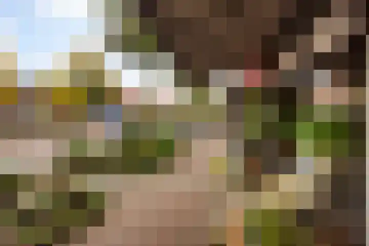 Vossegatselaan 19 BS Utrecht thumbnail 45
