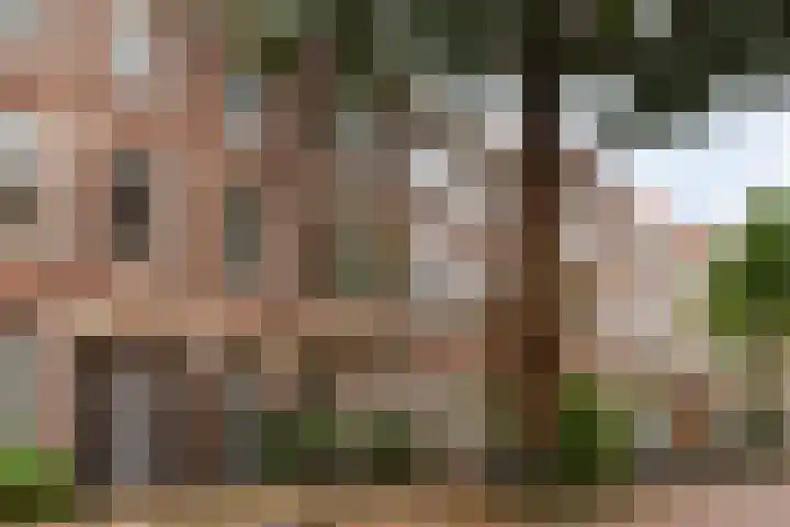 Vossegatselaan 19 BS Utrecht thumbnail 5