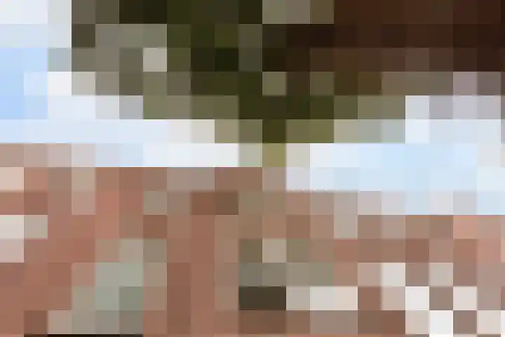 Vossegatselaan 19 BS Utrecht thumbnail 6