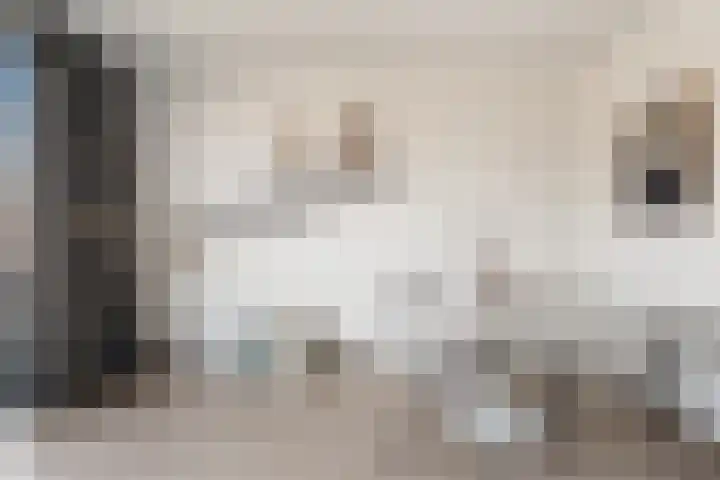 Vossegatselaan 22 D Utrecht thumbnail 11