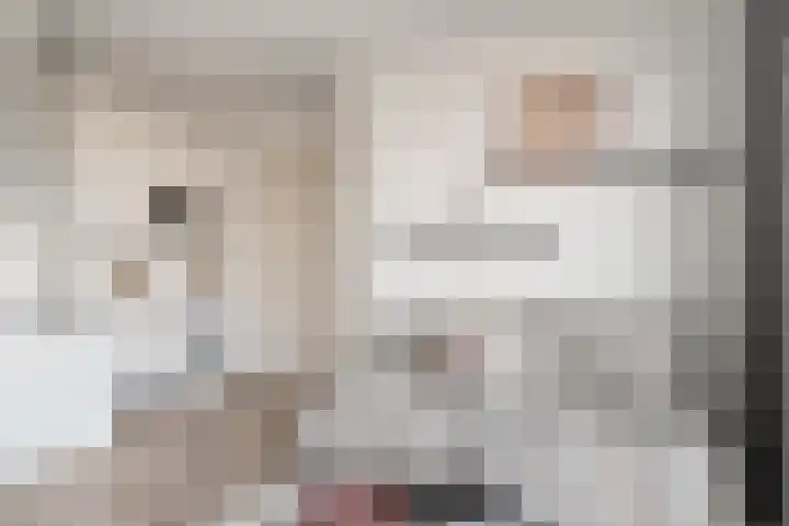 Vossegatselaan 22 D Utrecht thumbnail 14