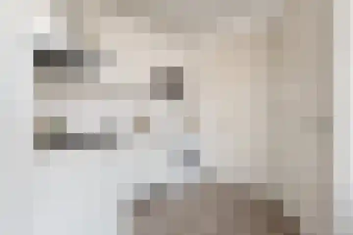 Vossegatselaan 22 D Utrecht thumbnail 16