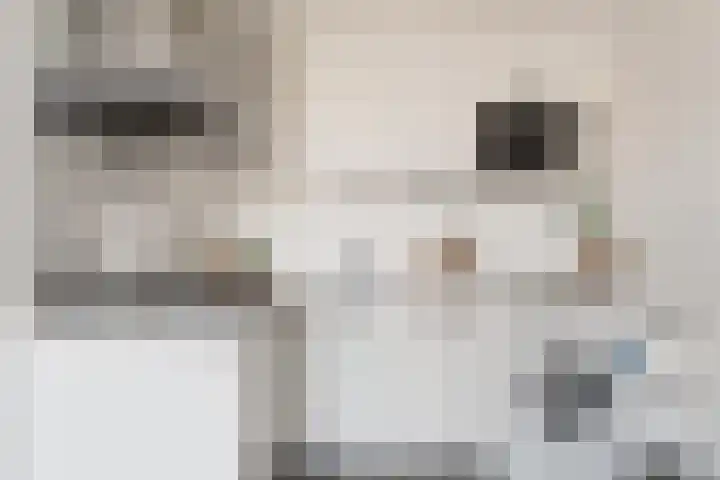 Vossegatselaan 22 D Utrecht thumbnail 17