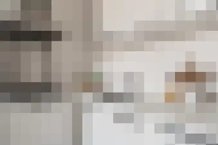Vossegatselaan 22 D Utrecht thumbnail 18