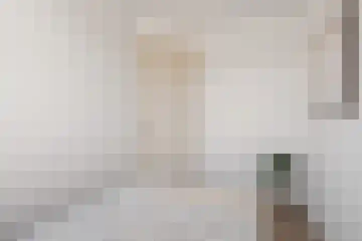 Vossegatselaan 22 D Utrecht thumbnail 21