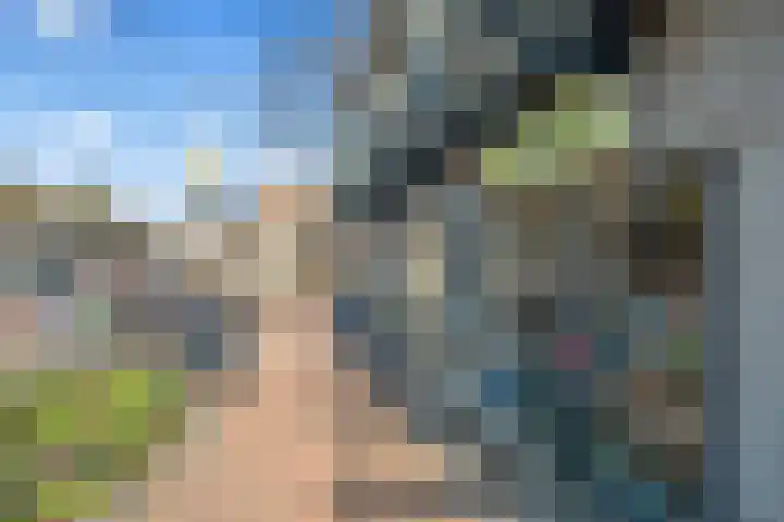 Vossegatselaan 22 D Utrecht thumbnail 29