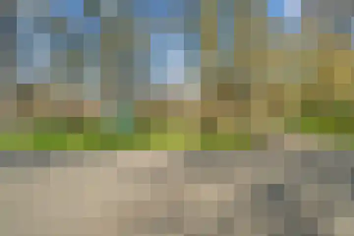 Vossegatselaan 22 D Utrecht thumbnail 33