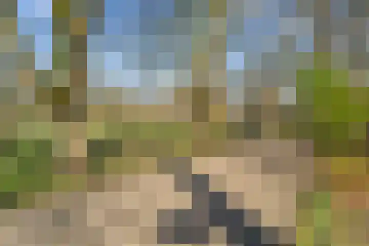 Vossegatselaan 22 D Utrecht thumbnail 34