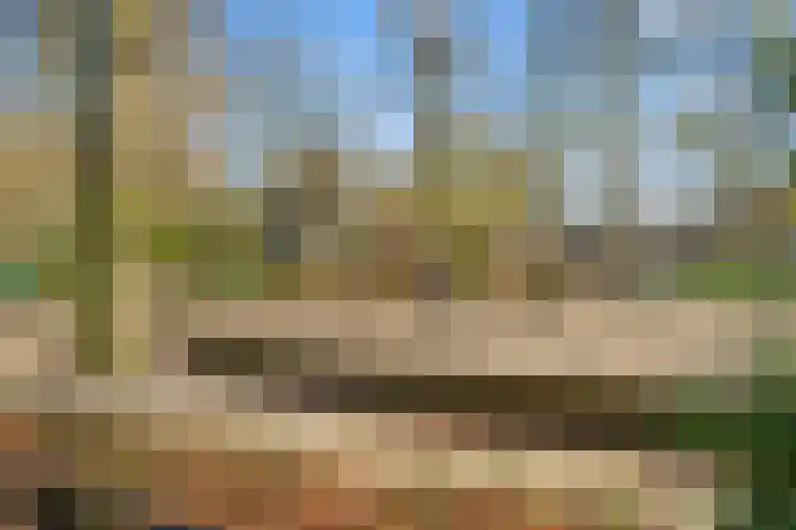 Vossegatselaan 22 D Utrecht thumbnail 35