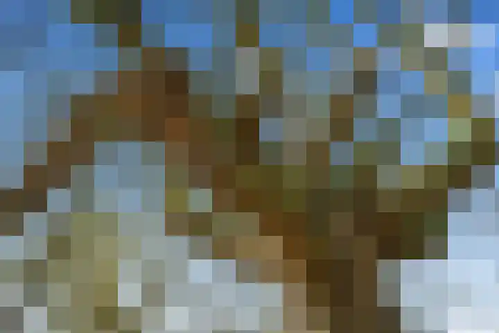 Vossegatselaan 22 D Utrecht thumbnail 36