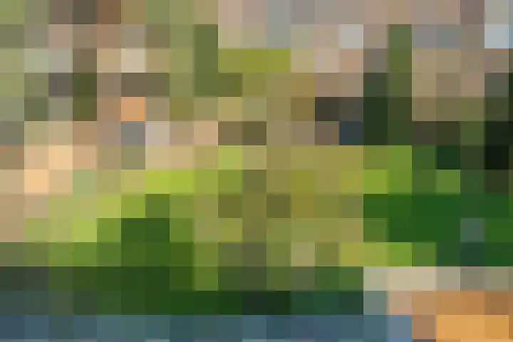 Vossegatselaan 22 D Utrecht thumbnail 7