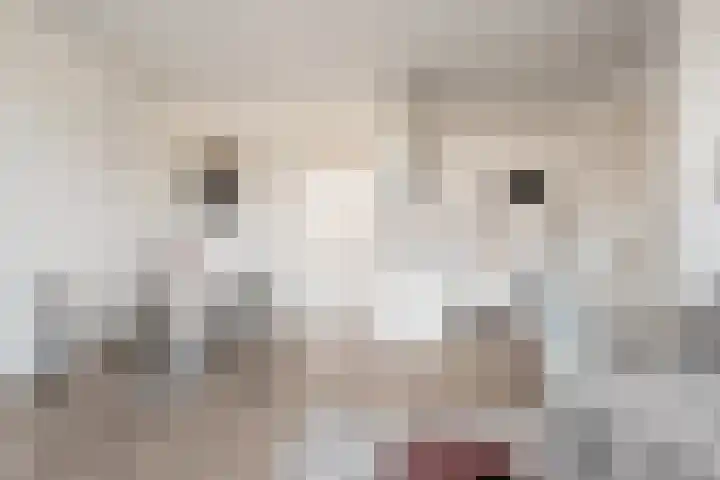 Vossegatselaan 22 D Utrecht thumbnail 9