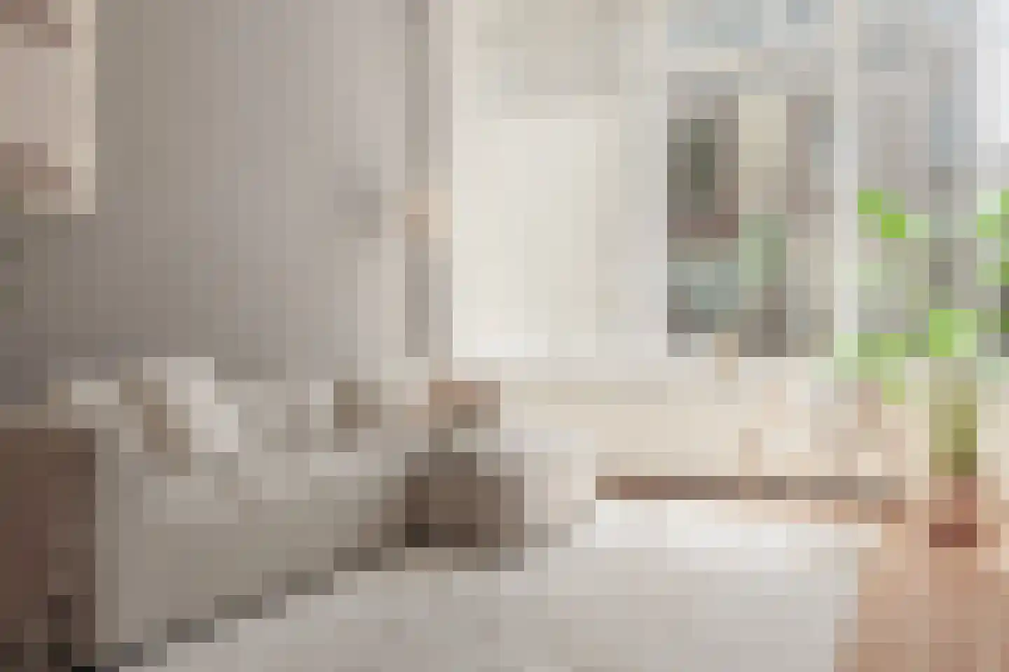 Vossegatselaan 36 A Utrecht thumbnail 20