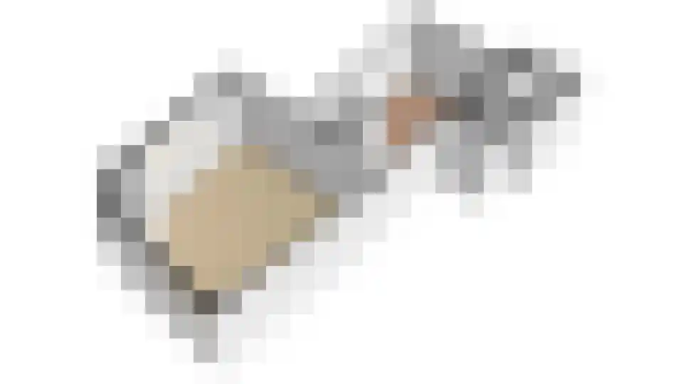 Vossegatselaan 36 A Utrecht thumbnail 42