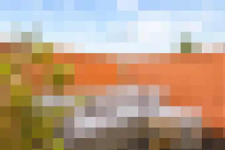 Vossegatselaan 39 BS Utrecht thumbnail 17