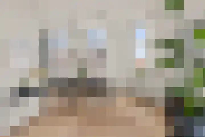 Vossegatselaan 39 BS Utrecht thumbnail 27
