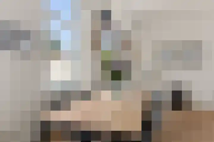 Vossegatselaan 39 BS Utrecht thumbnail 29