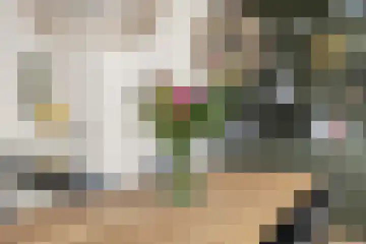 Vossegatselaan 39 BS Utrecht thumbnail 34
