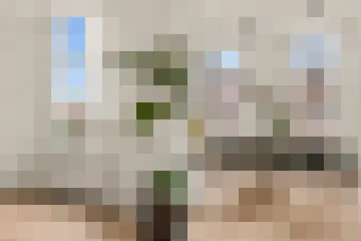 Vossegatselaan 39 BS Utrecht thumbnail 35