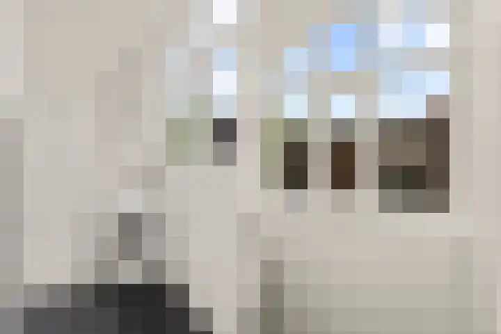Vossegatselaan 39 BS Utrecht thumbnail 48