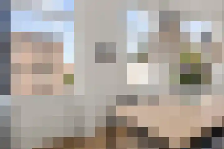 Vossegatselaan 39 BS Utrecht thumbnail 6