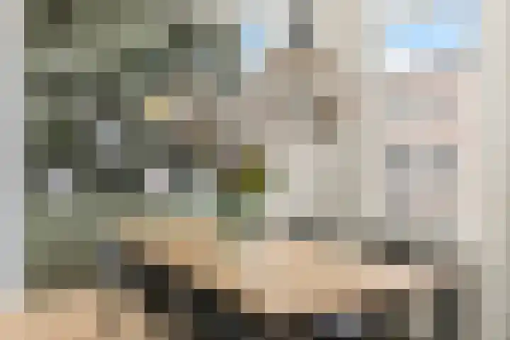 Vossegatselaan 39 BS Utrecht thumbnail 7